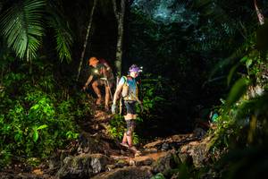 BIB: 
                            <button type="button" onclick="openModal(26438600)" class="btn btn-primary btn-sm float-right btn-popup" data-toggle="modal" data-target=".modal-high-quality">
                        <i class="fas fa-shopping-cart"></i> Add to Cart
                    </button>
                                            <button type="button" onclick="isThisMe(26438600, true)" class="btn btn-success btn-sm float-right btn-popup btn-isme hidden" data-toggle="tooltip" data-placement="bottom" title="นี่คือรูปของคุณใช่ไหม คลิกที่นี่เพื่อเอาเข้าอัลบั้ม">
                        <i class="fas fa-plus"></i> Add to album
                    </button>
                    <button type="button" onclick="isThisMe(26438600, false)" class="btn btn-warning btn-sm float-right btn-popup btn-isnotme hidden">
                        <i class="fas fa-ban"></i> Remove from album
                    </button>