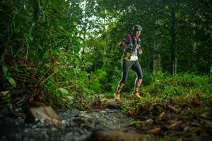 BIB: 
                            <button type="button" onclick="openModal(26471515)" class="btn btn-primary btn-sm float-right btn-popup" data-toggle="modal" data-target=".modal-high-quality">
                        <i class="fas fa-shopping-cart"></i> Add to Cart
                    </button>
                                            <button type="button" onclick="isThisMe(26471515, true)" class="btn btn-success btn-sm float-right btn-popup btn-isme hidden" data-toggle="tooltip" data-placement="bottom" title="นี่คือรูปของคุณใช่ไหม คลิกที่นี่เพื่อเอาเข้าอัลบั้ม">
                        <i class="fas fa-plus"></i> Add to album
                    </button>
                    <button type="button" onclick="isThisMe(26471515, false)" class="btn btn-warning btn-sm float-right btn-popup btn-isnotme hidden">
                        <i class="fas fa-ban"></i> Remove from album
                    </button>