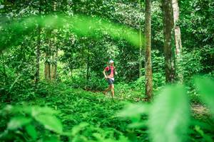 BIB: 
                            <button type="button" onclick="openModal(26483246)" class="btn btn-primary btn-sm float-right btn-popup" data-toggle="modal" data-target=".modal-high-quality">
                        <i class="fas fa-shopping-cart"></i> Add to Cart
                    </button>
                                            <button type="button" onclick="isThisMe(26483246, true)" class="btn btn-success btn-sm float-right btn-popup btn-isme hidden" data-toggle="tooltip" data-placement="bottom" title="นี่คือรูปของคุณใช่ไหม คลิกที่นี่เพื่อเอาเข้าอัลบั้ม">
                        <i class="fas fa-plus"></i> Add to album
                    </button>
                    <button type="button" onclick="isThisMe(26483246, false)" class="btn btn-warning btn-sm float-right btn-popup btn-isnotme hidden">
                        <i class="fas fa-ban"></i> Remove from album
                    </button>