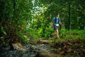 BIB: 
                            <button type="button" onclick="openModal(26478004)" class="btn btn-primary btn-sm float-right btn-popup" data-toggle="modal" data-target=".modal-high-quality">
                        <i class="fas fa-shopping-cart"></i> Add to Cart
                    </button>
                                            <button type="button" onclick="isThisMe(26478004, true)" class="btn btn-success btn-sm float-right btn-popup btn-isme hidden" data-toggle="tooltip" data-placement="bottom" title="นี่คือรูปของคุณใช่ไหม คลิกที่นี่เพื่อเอาเข้าอัลบั้ม">
                        <i class="fas fa-plus"></i> Add to album
                    </button>
                    <button type="button" onclick="isThisMe(26478004, false)" class="btn btn-warning btn-sm float-right btn-popup btn-isnotme hidden">
                        <i class="fas fa-ban"></i> Remove from album
                    </button>