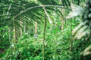 BIB: 
                            <button type="button" onclick="openModal(26483268)" class="btn btn-primary btn-sm float-right btn-popup" data-toggle="modal" data-target=".modal-high-quality">
                        <i class="fas fa-shopping-cart"></i> Add to Cart
                    </button>
                                            <button type="button" onclick="isThisMe(26483268, true)" class="btn btn-success btn-sm float-right btn-popup btn-isme hidden" data-toggle="tooltip" data-placement="bottom" title="นี่คือรูปของคุณใช่ไหม คลิกที่นี่เพื่อเอาเข้าอัลบั้ม">
                        <i class="fas fa-plus"></i> Add to album
                    </button>
                    <button type="button" onclick="isThisMe(26483268, false)" class="btn btn-warning btn-sm float-right btn-popup btn-isnotme hidden">
                        <i class="fas fa-ban"></i> Remove from album
                    </button>