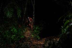 BIB: 
                            <button type="button" onclick="openModal(26437557)" class="btn btn-primary btn-sm float-right btn-popup" data-toggle="modal" data-target=".modal-high-quality">
                        <i class="fas fa-shopping-cart"></i> Add to Cart
                    </button>
                                            <button type="button" onclick="isThisMe(26437557, true)" class="btn btn-success btn-sm float-right btn-popup btn-isme hidden" data-toggle="tooltip" data-placement="bottom" title="นี่คือรูปของคุณใช่ไหม คลิกที่นี่เพื่อเอาเข้าอัลบั้ม">
                        <i class="fas fa-plus"></i> Add to album
                    </button>
                    <button type="button" onclick="isThisMe(26437557, false)" class="btn btn-warning btn-sm float-right btn-popup btn-isnotme hidden">
                        <i class="fas fa-ban"></i> Remove from album
                    </button>