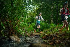 BIB: 
                            <button type="button" onclick="openModal(26475287)" class="btn btn-primary btn-sm float-right btn-popup" data-toggle="modal" data-target=".modal-high-quality">
                        <i class="fas fa-shopping-cart"></i> Add to Cart
                    </button>
                                            <button type="button" onclick="isThisMe(26475287, true)" class="btn btn-success btn-sm float-right btn-popup btn-isme hidden" data-toggle="tooltip" data-placement="bottom" title="นี่คือรูปของคุณใช่ไหม คลิกที่นี่เพื่อเอาเข้าอัลบั้ม">
                        <i class="fas fa-plus"></i> Add to album
                    </button>
                    <button type="button" onclick="isThisMe(26475287, false)" class="btn btn-warning btn-sm float-right btn-popup btn-isnotme hidden">
                        <i class="fas fa-ban"></i> Remove from album
                    </button>