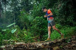 BIB: 
                            <button type="button" onclick="openModal(26482575)" class="btn btn-primary btn-sm float-right btn-popup" data-toggle="modal" data-target=".modal-high-quality">
                        <i class="fas fa-shopping-cart"></i> Add to Cart
                    </button>
                                            <button type="button" onclick="isThisMe(26482575, true)" class="btn btn-success btn-sm float-right btn-popup btn-isme hidden" data-toggle="tooltip" data-placement="bottom" title="นี่คือรูปของคุณใช่ไหม คลิกที่นี่เพื่อเอาเข้าอัลบั้ม">
                        <i class="fas fa-plus"></i> Add to album
                    </button>
                    <button type="button" onclick="isThisMe(26482575, false)" class="btn btn-warning btn-sm float-right btn-popup btn-isnotme hidden">
                        <i class="fas fa-ban"></i> Remove from album
                    </button>