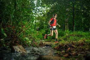 BIB: 
                            <button type="button" onclick="openModal(26471945)" class="btn btn-primary btn-sm float-right btn-popup" data-toggle="modal" data-target=".modal-high-quality">
                        <i class="fas fa-shopping-cart"></i> Add to Cart
                    </button>
                                            <button type="button" onclick="isThisMe(26471945, true)" class="btn btn-success btn-sm float-right btn-popup btn-isme hidden" data-toggle="tooltip" data-placement="bottom" title="นี่คือรูปของคุณใช่ไหม คลิกที่นี่เพื่อเอาเข้าอัลบั้ม">
                        <i class="fas fa-plus"></i> Add to album
                    </button>
                    <button type="button" onclick="isThisMe(26471945, false)" class="btn btn-warning btn-sm float-right btn-popup btn-isnotme hidden">
                        <i class="fas fa-ban"></i> Remove from album
                    </button>