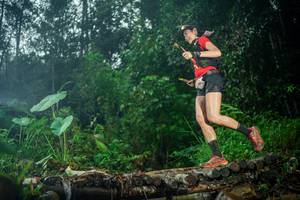 BIB: 
                            <button type="button" onclick="openModal(26485768)" class="btn btn-primary btn-sm float-right btn-popup" data-toggle="modal" data-target=".modal-high-quality">
                        <i class="fas fa-shopping-cart"></i> Add to Cart
                    </button>
                                            <button type="button" onclick="isThisMe(26485768, true)" class="btn btn-success btn-sm float-right btn-popup btn-isme hidden" data-toggle="tooltip" data-placement="bottom" title="นี่คือรูปของคุณใช่ไหม คลิกที่นี่เพื่อเอาเข้าอัลบั้ม">
                        <i class="fas fa-plus"></i> Add to album
                    </button>
                    <button type="button" onclick="isThisMe(26485768, false)" class="btn btn-warning btn-sm float-right btn-popup btn-isnotme hidden">
                        <i class="fas fa-ban"></i> Remove from album
                    </button>