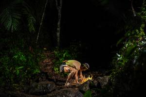 BIB: 
                            <button type="button" onclick="openModal(26436879)" class="btn btn-primary btn-sm float-right btn-popup" data-toggle="modal" data-target=".modal-high-quality">
                        <i class="fas fa-shopping-cart"></i> Add to Cart
                    </button>
                                            <button type="button" onclick="isThisMe(26436879, true)" class="btn btn-success btn-sm float-right btn-popup btn-isme hidden" data-toggle="tooltip" data-placement="bottom" title="นี่คือรูปของคุณใช่ไหม คลิกที่นี่เพื่อเอาเข้าอัลบั้ม">
                        <i class="fas fa-plus"></i> Add to album
                    </button>
                    <button type="button" onclick="isThisMe(26436879, false)" class="btn btn-warning btn-sm float-right btn-popup btn-isnotme hidden">
                        <i class="fas fa-ban"></i> Remove from album
                    </button>