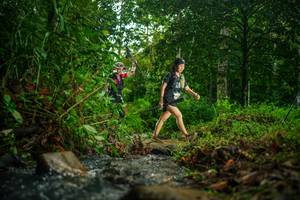 BIB: 
                            <button type="button" onclick="openModal(26475186)" class="btn btn-primary btn-sm float-right btn-popup" data-toggle="modal" data-target=".modal-high-quality">
                        <i class="fas fa-shopping-cart"></i> Add to Cart
                    </button>
                                            <button type="button" onclick="isThisMe(26475186, true)" class="btn btn-success btn-sm float-right btn-popup btn-isme hidden" data-toggle="tooltip" data-placement="bottom" title="นี่คือรูปของคุณใช่ไหม คลิกที่นี่เพื่อเอาเข้าอัลบั้ม">
                        <i class="fas fa-plus"></i> Add to album
                    </button>
                    <button type="button" onclick="isThisMe(26475186, false)" class="btn btn-warning btn-sm float-right btn-popup btn-isnotme hidden">
                        <i class="fas fa-ban"></i> Remove from album
                    </button>