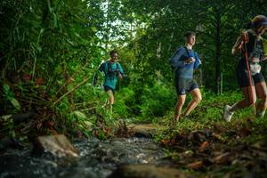 BIB: 
                            <button type="button" onclick="openModal(26474902)" class="btn btn-primary btn-sm float-right btn-popup" data-toggle="modal" data-target=".modal-high-quality">
                        <i class="fas fa-shopping-cart"></i> Add to Cart
                    </button>
                                            <button type="button" onclick="isThisMe(26474902, true)" class="btn btn-success btn-sm float-right btn-popup btn-isme hidden" data-toggle="tooltip" data-placement="bottom" title="นี่คือรูปของคุณใช่ไหม คลิกที่นี่เพื่อเอาเข้าอัลบั้ม">
                        <i class="fas fa-plus"></i> Add to album
                    </button>
                    <button type="button" onclick="isThisMe(26474902, false)" class="btn btn-warning btn-sm float-right btn-popup btn-isnotme hidden">
                        <i class="fas fa-ban"></i> Remove from album
                    </button>