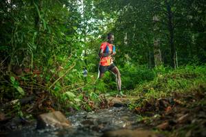 BIB: 
                            <button type="button" onclick="openModal(26470173)" class="btn btn-primary btn-sm float-right btn-popup" data-toggle="modal" data-target=".modal-high-quality">
                        <i class="fas fa-shopping-cart"></i> Add to Cart
                    </button>
                                            <button type="button" onclick="isThisMe(26470173, true)" class="btn btn-success btn-sm float-right btn-popup btn-isme hidden" data-toggle="tooltip" data-placement="bottom" title="นี่คือรูปของคุณใช่ไหม คลิกที่นี่เพื่อเอาเข้าอัลบั้ม">
                        <i class="fas fa-plus"></i> Add to album
                    </button>
                    <button type="button" onclick="isThisMe(26470173, false)" class="btn btn-warning btn-sm float-right btn-popup btn-isnotme hidden">
                        <i class="fas fa-ban"></i> Remove from album
                    </button>