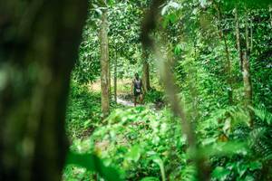 BIB: 
                            <button type="button" onclick="openModal(26483183)" class="btn btn-primary btn-sm float-right btn-popup" data-toggle="modal" data-target=".modal-high-quality">
                        <i class="fas fa-shopping-cart"></i> Add to Cart
                    </button>
                                            <button type="button" onclick="isThisMe(26483183, true)" class="btn btn-success btn-sm float-right btn-popup btn-isme hidden" data-toggle="tooltip" data-placement="bottom" title="นี่คือรูปของคุณใช่ไหม คลิกที่นี่เพื่อเอาเข้าอัลบั้ม">
                        <i class="fas fa-plus"></i> Add to album
                    </button>
                    <button type="button" onclick="isThisMe(26483183, false)" class="btn btn-warning btn-sm float-right btn-popup btn-isnotme hidden">
                        <i class="fas fa-ban"></i> Remove from album
                    </button>