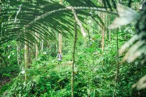 BIB: 
                            <button type="button" onclick="openModal(26483272)" class="btn btn-primary btn-sm float-right btn-popup" data-toggle="modal" data-target=".modal-high-quality">
                        <i class="fas fa-shopping-cart"></i> Add to Cart
                    </button>
                                            <button type="button" onclick="isThisMe(26483272, true)" class="btn btn-success btn-sm float-right btn-popup btn-isme hidden" data-toggle="tooltip" data-placement="bottom" title="นี่คือรูปของคุณใช่ไหม คลิกที่นี่เพื่อเอาเข้าอัลบั้ม">
                        <i class="fas fa-plus"></i> Add to album
                    </button>
                    <button type="button" onclick="isThisMe(26483272, false)" class="btn btn-warning btn-sm float-right btn-popup btn-isnotme hidden">
                        <i class="fas fa-ban"></i> Remove from album
                    </button>