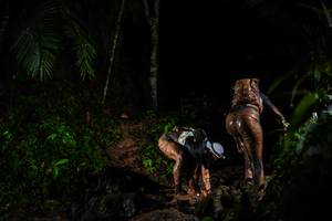 BIB: 
                            <button type="button" onclick="openModal(26437051)" class="btn btn-primary btn-sm float-right btn-popup" data-toggle="modal" data-target=".modal-high-quality">
                        <i class="fas fa-shopping-cart"></i> Add to Cart
                    </button>
                                            <button type="button" onclick="isThisMe(26437051, true)" class="btn btn-success btn-sm float-right btn-popup btn-isme hidden" data-toggle="tooltip" data-placement="bottom" title="นี่คือรูปของคุณใช่ไหม คลิกที่นี่เพื่อเอาเข้าอัลบั้ม">
                        <i class="fas fa-plus"></i> Add to album
                    </button>
                    <button type="button" onclick="isThisMe(26437051, false)" class="btn btn-warning btn-sm float-right btn-popup btn-isnotme hidden">
                        <i class="fas fa-ban"></i> Remove from album
                    </button>