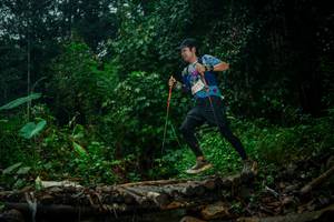 BIB: 
                            <button type="button" onclick="openModal(26483805)" class="btn btn-primary btn-sm float-right btn-popup" data-toggle="modal" data-target=".modal-high-quality">
                        <i class="fas fa-shopping-cart"></i> Add to Cart
                    </button>
                                            <button type="button" onclick="isThisMe(26483805, true)" class="btn btn-success btn-sm float-right btn-popup btn-isme hidden" data-toggle="tooltip" data-placement="bottom" title="นี่คือรูปของคุณใช่ไหม คลิกที่นี่เพื่อเอาเข้าอัลบั้ม">
                        <i class="fas fa-plus"></i> Add to album
                    </button>
                    <button type="button" onclick="isThisMe(26483805, false)" class="btn btn-warning btn-sm float-right btn-popup btn-isnotme hidden">
                        <i class="fas fa-ban"></i> Remove from album
                    </button>