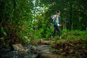 BIB: 
                            <button type="button" onclick="openModal(26475223)" class="btn btn-primary btn-sm float-right btn-popup" data-toggle="modal" data-target=".modal-high-quality">
                        <i class="fas fa-shopping-cart"></i> Add to Cart
                    </button>
                                            <button type="button" onclick="isThisMe(26475223, true)" class="btn btn-success btn-sm float-right btn-popup btn-isme hidden" data-toggle="tooltip" data-placement="bottom" title="นี่คือรูปของคุณใช่ไหม คลิกที่นี่เพื่อเอาเข้าอัลบั้ม">
                        <i class="fas fa-plus"></i> Add to album
                    </button>
                    <button type="button" onclick="isThisMe(26475223, false)" class="btn btn-warning btn-sm float-right btn-popup btn-isnotme hidden">
                        <i class="fas fa-ban"></i> Remove from album
                    </button>