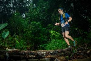 BIB: 
                            <button type="button" onclick="openModal(26486622)" class="btn btn-primary btn-sm float-right btn-popup" data-toggle="modal" data-target=".modal-high-quality">
                        <i class="fas fa-shopping-cart"></i> Add to Cart
                    </button>
                                            <button type="button" onclick="isThisMe(26486622, true)" class="btn btn-success btn-sm float-right btn-popup btn-isme hidden" data-toggle="tooltip" data-placement="bottom" title="นี่คือรูปของคุณใช่ไหม คลิกที่นี่เพื่อเอาเข้าอัลบั้ม">
                        <i class="fas fa-plus"></i> Add to album
                    </button>
                    <button type="button" onclick="isThisMe(26486622, false)" class="btn btn-warning btn-sm float-right btn-popup btn-isnotme hidden">
                        <i class="fas fa-ban"></i> Remove from album
                    </button>