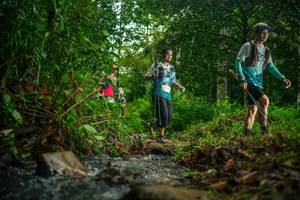 BIB: 
                            <button type="button" onclick="openModal(26476489)" class="btn btn-primary btn-sm float-right btn-popup" data-toggle="modal" data-target=".modal-high-quality">
                        <i class="fas fa-shopping-cart"></i> Add to Cart
                    </button>
                                            <button type="button" onclick="isThisMe(26476489, true)" class="btn btn-success btn-sm float-right btn-popup btn-isme hidden" data-toggle="tooltip" data-placement="bottom" title="นี่คือรูปของคุณใช่ไหม คลิกที่นี่เพื่อเอาเข้าอัลบั้ม">
                        <i class="fas fa-plus"></i> Add to album
                    </button>
                    <button type="button" onclick="isThisMe(26476489, false)" class="btn btn-warning btn-sm float-right btn-popup btn-isnotme hidden">
                        <i class="fas fa-ban"></i> Remove from album
                    </button>