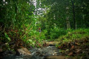 BIB: 
                            <button type="button" onclick="openModal(26469826)" class="btn btn-primary btn-sm float-right btn-popup" data-toggle="modal" data-target=".modal-high-quality">
                        <i class="fas fa-shopping-cart"></i> Add to Cart
                    </button>
                                            <button type="button" onclick="isThisMe(26469826, true)" class="btn btn-success btn-sm float-right btn-popup btn-isme hidden" data-toggle="tooltip" data-placement="bottom" title="นี่คือรูปของคุณใช่ไหม คลิกที่นี่เพื่อเอาเข้าอัลบั้ม">
                        <i class="fas fa-plus"></i> Add to album
                    </button>
                    <button type="button" onclick="isThisMe(26469826, false)" class="btn btn-warning btn-sm float-right btn-popup btn-isnotme hidden">
                        <i class="fas fa-ban"></i> Remove from album
                    </button>