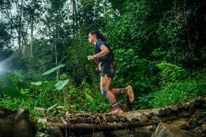 BIB: 
                            <button type="button" onclick="openModal(26482420)" class="btn btn-primary btn-sm float-right btn-popup" data-toggle="modal" data-target=".modal-high-quality">
                        <i class="fas fa-shopping-cart"></i> Add to Cart
                    </button>
                                            <button type="button" onclick="isThisMe(26482420, true)" class="btn btn-success btn-sm float-right btn-popup btn-isme hidden" data-toggle="tooltip" data-placement="bottom" title="นี่คือรูปของคุณใช่ไหม คลิกที่นี่เพื่อเอาเข้าอัลบั้ม">
                        <i class="fas fa-plus"></i> Add to album
                    </button>
                    <button type="button" onclick="isThisMe(26482420, false)" class="btn btn-warning btn-sm float-right btn-popup btn-isnotme hidden">
                        <i class="fas fa-ban"></i> Remove from album
                    </button>