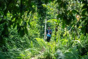 BIB: 
                            <button type="button" onclick="openModal(26500787)" class="btn btn-primary btn-sm float-right btn-popup" data-toggle="modal" data-target=".modal-high-quality">
                        <i class="fas fa-shopping-cart"></i> Add to Cart
                    </button>
                                            <button type="button" onclick="isThisMe(26500787, true)" class="btn btn-success btn-sm float-right btn-popup btn-isme hidden" data-toggle="tooltip" data-placement="bottom" title="นี่คือรูปของคุณใช่ไหม คลิกที่นี่เพื่อเอาเข้าอัลบั้ม">
                        <i class="fas fa-plus"></i> Add to album
                    </button>
                    <button type="button" onclick="isThisMe(26500787, false)" class="btn btn-warning btn-sm float-right btn-popup btn-isnotme hidden">
                        <i class="fas fa-ban"></i> Remove from album
                    </button>