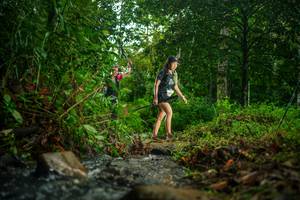 BIB: 
                            <button type="button" onclick="openModal(26475173)" class="btn btn-primary btn-sm float-right btn-popup" data-toggle="modal" data-target=".modal-high-quality">
                        <i class="fas fa-shopping-cart"></i> Add to Cart
                    </button>
                                            <button type="button" onclick="isThisMe(26475173, true)" class="btn btn-success btn-sm float-right btn-popup btn-isme hidden" data-toggle="tooltip" data-placement="bottom" title="นี่คือรูปของคุณใช่ไหม คลิกที่นี่เพื่อเอาเข้าอัลบั้ม">
                        <i class="fas fa-plus"></i> Add to album
                    </button>
                    <button type="button" onclick="isThisMe(26475173, false)" class="btn btn-warning btn-sm float-right btn-popup btn-isnotme hidden">
                        <i class="fas fa-ban"></i> Remove from album
                    </button>