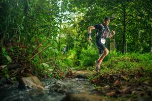 BIB: 
                            <button type="button" onclick="openModal(26478384)" class="btn btn-primary btn-sm float-right btn-popup" data-toggle="modal" data-target=".modal-high-quality">
                        <i class="fas fa-shopping-cart"></i> Add to Cart
                    </button>
                                            <button type="button" onclick="isThisMe(26478384, true)" class="btn btn-success btn-sm float-right btn-popup btn-isme hidden" data-toggle="tooltip" data-placement="bottom" title="นี่คือรูปของคุณใช่ไหม คลิกที่นี่เพื่อเอาเข้าอัลบั้ม">
                        <i class="fas fa-plus"></i> Add to album
                    </button>
                    <button type="button" onclick="isThisMe(26478384, false)" class="btn btn-warning btn-sm float-right btn-popup btn-isnotme hidden">
                        <i class="fas fa-ban"></i> Remove from album
                    </button>