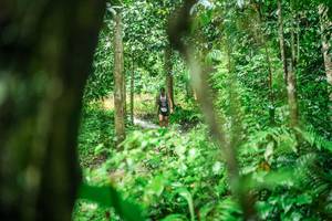 BIB: 
                            <button type="button" onclick="openModal(26483186)" class="btn btn-primary btn-sm float-right btn-popup" data-toggle="modal" data-target=".modal-high-quality">
                        <i class="fas fa-shopping-cart"></i> Add to Cart
                    </button>
                                            <button type="button" onclick="isThisMe(26483186, true)" class="btn btn-success btn-sm float-right btn-popup btn-isme hidden" data-toggle="tooltip" data-placement="bottom" title="นี่คือรูปของคุณใช่ไหม คลิกที่นี่เพื่อเอาเข้าอัลบั้ม">
                        <i class="fas fa-plus"></i> Add to album
                    </button>
                    <button type="button" onclick="isThisMe(26483186, false)" class="btn btn-warning btn-sm float-right btn-popup btn-isnotme hidden">
                        <i class="fas fa-ban"></i> Remove from album
                    </button>