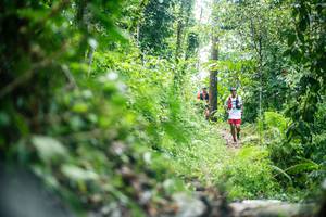 BIB: 
                            <button type="button" onclick="openModal(26500714)" class="btn btn-primary btn-sm float-right btn-popup" data-toggle="modal" data-target=".modal-high-quality">
                        <i class="fas fa-shopping-cart"></i> Add to Cart
                    </button>
                                            <button type="button" onclick="isThisMe(26500714, true)" class="btn btn-success btn-sm float-right btn-popup btn-isme hidden" data-toggle="tooltip" data-placement="bottom" title="นี่คือรูปของคุณใช่ไหม คลิกที่นี่เพื่อเอาเข้าอัลบั้ม">
                        <i class="fas fa-plus"></i> Add to album
                    </button>
                    <button type="button" onclick="isThisMe(26500714, false)" class="btn btn-warning btn-sm float-right btn-popup btn-isnotme hidden">
                        <i class="fas fa-ban"></i> Remove from album
                    </button>