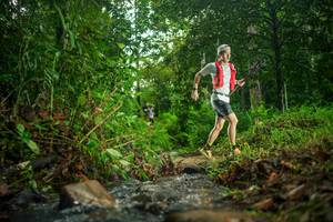 BIB: 
                            <button type="button" onclick="openModal(26469690)" class="btn btn-primary btn-sm float-right btn-popup" data-toggle="modal" data-target=".modal-high-quality">
                        <i class="fas fa-shopping-cart"></i> Add to Cart
                    </button>
                                            <button type="button" onclick="isThisMe(26469690, true)" class="btn btn-success btn-sm float-right btn-popup btn-isme hidden" data-toggle="tooltip" data-placement="bottom" title="นี่คือรูปของคุณใช่ไหม คลิกที่นี่เพื่อเอาเข้าอัลบั้ม">
                        <i class="fas fa-plus"></i> Add to album
                    </button>
                    <button type="button" onclick="isThisMe(26469690, false)" class="btn btn-warning btn-sm float-right btn-popup btn-isnotme hidden">
                        <i class="fas fa-ban"></i> Remove from album
                    </button>