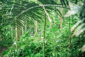 BIB: 
                            <button type="button" onclick="openModal(26483267)" class="btn btn-primary btn-sm float-right btn-popup" data-toggle="modal" data-target=".modal-high-quality">
                        <i class="fas fa-shopping-cart"></i> Add to Cart
                    </button>
                                            <button type="button" onclick="isThisMe(26483267, true)" class="btn btn-success btn-sm float-right btn-popup btn-isme hidden" data-toggle="tooltip" data-placement="bottom" title="นี่คือรูปของคุณใช่ไหม คลิกที่นี่เพื่อเอาเข้าอัลบั้ม">
                        <i class="fas fa-plus"></i> Add to album
                    </button>
                    <button type="button" onclick="isThisMe(26483267, false)" class="btn btn-warning btn-sm float-right btn-popup btn-isnotme hidden">
                        <i class="fas fa-ban"></i> Remove from album
                    </button>