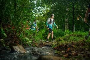 BIB: 
                            <button type="button" onclick="openModal(26476486)" class="btn btn-primary btn-sm float-right btn-popup" data-toggle="modal" data-target=".modal-high-quality">
                        <i class="fas fa-shopping-cart"></i> Add to Cart
                    </button>
                                            <button type="button" onclick="isThisMe(26476486, true)" class="btn btn-success btn-sm float-right btn-popup btn-isme hidden" data-toggle="tooltip" data-placement="bottom" title="นี่คือรูปของคุณใช่ไหม คลิกที่นี่เพื่อเอาเข้าอัลบั้ม">
                        <i class="fas fa-plus"></i> Add to album
                    </button>
                    <button type="button" onclick="isThisMe(26476486, false)" class="btn btn-warning btn-sm float-right btn-popup btn-isnotme hidden">
                        <i class="fas fa-ban"></i> Remove from album
                    </button>