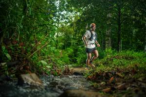 BIB: 
                            <button type="button" onclick="openModal(26475154)" class="btn btn-primary btn-sm float-right btn-popup" data-toggle="modal" data-target=".modal-high-quality">
                        <i class="fas fa-shopping-cart"></i> Add to Cart
                    </button>
                                            <button type="button" onclick="isThisMe(26475154, true)" class="btn btn-success btn-sm float-right btn-popup btn-isme hidden" data-toggle="tooltip" data-placement="bottom" title="นี่คือรูปของคุณใช่ไหม คลิกที่นี่เพื่อเอาเข้าอัลบั้ม">
                        <i class="fas fa-plus"></i> Add to album
                    </button>
                    <button type="button" onclick="isThisMe(26475154, false)" class="btn btn-warning btn-sm float-right btn-popup btn-isnotme hidden">
                        <i class="fas fa-ban"></i> Remove from album
                    </button>