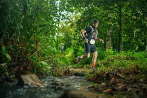 BIB: 
                            <button type="button" onclick="openModal(26478371)" class="btn btn-primary btn-sm float-right btn-popup" data-toggle="modal" data-target=".modal-high-quality">
                        <i class="fas fa-shopping-cart"></i> Add to Cart
                    </button>
                                            <button type="button" onclick="isThisMe(26478371, true)" class="btn btn-success btn-sm float-right btn-popup btn-isme hidden" data-toggle="tooltip" data-placement="bottom" title="นี่คือรูปของคุณใช่ไหม คลิกที่นี่เพื่อเอาเข้าอัลบั้ม">
                        <i class="fas fa-plus"></i> Add to album
                    </button>
                    <button type="button" onclick="isThisMe(26478371, false)" class="btn btn-warning btn-sm float-right btn-popup btn-isnotme hidden">
                        <i class="fas fa-ban"></i> Remove from album
                    </button>