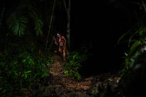 BIB: 
                            <button type="button" onclick="openModal(26437562)" class="btn btn-primary btn-sm float-right btn-popup" data-toggle="modal" data-target=".modal-high-quality">
                        <i class="fas fa-shopping-cart"></i> Add to Cart
                    </button>
                                            <button type="button" onclick="isThisMe(26437562, true)" class="btn btn-success btn-sm float-right btn-popup btn-isme hidden" data-toggle="tooltip" data-placement="bottom" title="นี่คือรูปของคุณใช่ไหม คลิกที่นี่เพื่อเอาเข้าอัลบั้ม">
                        <i class="fas fa-plus"></i> Add to album
                    </button>
                    <button type="button" onclick="isThisMe(26437562, false)" class="btn btn-warning btn-sm float-right btn-popup btn-isnotme hidden">
                        <i class="fas fa-ban"></i> Remove from album
                    </button>