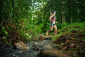 BIB: 
                            <button type="button" onclick="openModal(26469093)" class="btn btn-primary btn-sm float-right btn-popup" data-toggle="modal" data-target=".modal-high-quality">
                        <i class="fas fa-shopping-cart"></i> Add to Cart
                    </button>
                                            <button type="button" onclick="isThisMe(26469093, true)" class="btn btn-success btn-sm float-right btn-popup btn-isme hidden" data-toggle="tooltip" data-placement="bottom" title="นี่คือรูปของคุณใช่ไหม คลิกที่นี่เพื่อเอาเข้าอัลบั้ม">
                        <i class="fas fa-plus"></i> Add to album
                    </button>
                    <button type="button" onclick="isThisMe(26469093, false)" class="btn btn-warning btn-sm float-right btn-popup btn-isnotme hidden">
                        <i class="fas fa-ban"></i> Remove from album
                    </button>