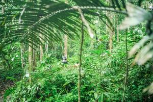 BIB: 
                            <button type="button" onclick="openModal(26483277)" class="btn btn-primary btn-sm float-right btn-popup" data-toggle="modal" data-target=".modal-high-quality">
                        <i class="fas fa-shopping-cart"></i> Add to Cart
                    </button>
                                            <button type="button" onclick="isThisMe(26483277, true)" class="btn btn-success btn-sm float-right btn-popup btn-isme hidden" data-toggle="tooltip" data-placement="bottom" title="นี่คือรูปของคุณใช่ไหม คลิกที่นี่เพื่อเอาเข้าอัลบั้ม">
                        <i class="fas fa-plus"></i> Add to album
                    </button>
                    <button type="button" onclick="isThisMe(26483277, false)" class="btn btn-warning btn-sm float-right btn-popup btn-isnotme hidden">
                        <i class="fas fa-ban"></i> Remove from album
                    </button>