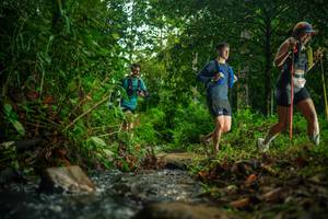 BIB: 
                            <button type="button" onclick="openModal(26474903)" class="btn btn-primary btn-sm float-right btn-popup" data-toggle="modal" data-target=".modal-high-quality">
                        <i class="fas fa-shopping-cart"></i> Add to Cart
                    </button>
                                            <button type="button" onclick="isThisMe(26474903, true)" class="btn btn-success btn-sm float-right btn-popup btn-isme hidden" data-toggle="tooltip" data-placement="bottom" title="นี่คือรูปของคุณใช่ไหม คลิกที่นี่เพื่อเอาเข้าอัลบั้ม">
                        <i class="fas fa-plus"></i> Add to album
                    </button>
                    <button type="button" onclick="isThisMe(26474903, false)" class="btn btn-warning btn-sm float-right btn-popup btn-isnotme hidden">
                        <i class="fas fa-ban"></i> Remove from album
                    </button>