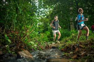 BIB: 
                            <button type="button" onclick="openModal(26469501)" class="btn btn-primary btn-sm float-right btn-popup" data-toggle="modal" data-target=".modal-high-quality">
                        <i class="fas fa-shopping-cart"></i> Add to Cart
                    </button>
                                            <button type="button" onclick="isThisMe(26469501, true)" class="btn btn-success btn-sm float-right btn-popup btn-isme hidden" data-toggle="tooltip" data-placement="bottom" title="นี่คือรูปของคุณใช่ไหม คลิกที่นี่เพื่อเอาเข้าอัลบั้ม">
                        <i class="fas fa-plus"></i> Add to album
                    </button>
                    <button type="button" onclick="isThisMe(26469501, false)" class="btn btn-warning btn-sm float-right btn-popup btn-isnotme hidden">
                        <i class="fas fa-ban"></i> Remove from album
                    </button>