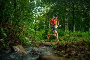 BIB: 
                            <button type="button" onclick="openModal(26478847)" class="btn btn-primary btn-sm float-right btn-popup" data-toggle="modal" data-target=".modal-high-quality">
                        <i class="fas fa-shopping-cart"></i> Add to Cart
                    </button>
                                            <button type="button" onclick="isThisMe(26478847, true)" class="btn btn-success btn-sm float-right btn-popup btn-isme hidden" data-toggle="tooltip" data-placement="bottom" title="นี่คือรูปของคุณใช่ไหม คลิกที่นี่เพื่อเอาเข้าอัลบั้ม">
                        <i class="fas fa-plus"></i> Add to album
                    </button>
                    <button type="button" onclick="isThisMe(26478847, false)" class="btn btn-warning btn-sm float-right btn-popup btn-isnotme hidden">
                        <i class="fas fa-ban"></i> Remove from album
                    </button>