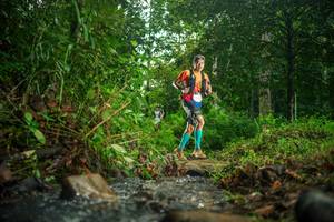 BIB: 
                            <button type="button" onclick="openModal(26470274)" class="btn btn-primary btn-sm float-right btn-popup" data-toggle="modal" data-target=".modal-high-quality">
                        <i class="fas fa-shopping-cart"></i> Add to Cart
                    </button>
                                            <button type="button" onclick="isThisMe(26470274, true)" class="btn btn-success btn-sm float-right btn-popup btn-isme hidden" data-toggle="tooltip" data-placement="bottom" title="นี่คือรูปของคุณใช่ไหม คลิกที่นี่เพื่อเอาเข้าอัลบั้ม">
                        <i class="fas fa-plus"></i> Add to album
                    </button>
                    <button type="button" onclick="isThisMe(26470274, false)" class="btn btn-warning btn-sm float-right btn-popup btn-isnotme hidden">
                        <i class="fas fa-ban"></i> Remove from album
                    </button>