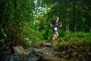 BIB: 
                            <button type="button" onclick="openModal(26475475)" class="btn btn-primary btn-sm float-right btn-popup" data-toggle="modal" data-target=".modal-high-quality">
                        <i class="fas fa-shopping-cart"></i> Add to Cart
                    </button>
                                            <button type="button" onclick="isThisMe(26475475, true)" class="btn btn-success btn-sm float-right btn-popup btn-isme hidden" data-toggle="tooltip" data-placement="bottom" title="นี่คือรูปของคุณใช่ไหม คลิกที่นี่เพื่อเอาเข้าอัลบั้ม">
                        <i class="fas fa-plus"></i> Add to album
                    </button>
                    <button type="button" onclick="isThisMe(26475475, false)" class="btn btn-warning btn-sm float-right btn-popup btn-isnotme hidden">
                        <i class="fas fa-ban"></i> Remove from album
                    </button>