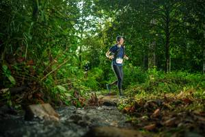 BIB: 
                            <button type="button" onclick="openModal(26472144)" class="btn btn-primary btn-sm float-right btn-popup" data-toggle="modal" data-target=".modal-high-quality">
                        <i class="fas fa-shopping-cart"></i> Add to Cart
                    </button>
                                            <button type="button" onclick="isThisMe(26472144, true)" class="btn btn-success btn-sm float-right btn-popup btn-isme hidden" data-toggle="tooltip" data-placement="bottom" title="นี่คือรูปของคุณใช่ไหม คลิกที่นี่เพื่อเอาเข้าอัลบั้ม">
                        <i class="fas fa-plus"></i> Add to album
                    </button>
                    <button type="button" onclick="isThisMe(26472144, false)" class="btn btn-warning btn-sm float-right btn-popup btn-isnotme hidden">
                        <i class="fas fa-ban"></i> Remove from album
                    </button>