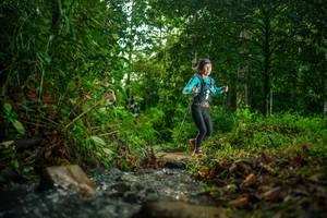 BIB: 
                            <button type="button" onclick="openModal(26473909)" class="btn btn-primary btn-sm float-right btn-popup" data-toggle="modal" data-target=".modal-high-quality">
                        <i class="fas fa-shopping-cart"></i> Add to Cart
                    </button>
                                            <button type="button" onclick="isThisMe(26473909, true)" class="btn btn-success btn-sm float-right btn-popup btn-isme hidden" data-toggle="tooltip" data-placement="bottom" title="นี่คือรูปของคุณใช่ไหม คลิกที่นี่เพื่อเอาเข้าอัลบั้ม">
                        <i class="fas fa-plus"></i> Add to album
                    </button>
                    <button type="button" onclick="isThisMe(26473909, false)" class="btn btn-warning btn-sm float-right btn-popup btn-isnotme hidden">
                        <i class="fas fa-ban"></i> Remove from album
                    </button>