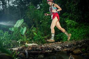 BIB: 
                            <button type="button" onclick="openModal(26487210)" class="btn btn-primary btn-sm float-right btn-popup" data-toggle="modal" data-target=".modal-high-quality">
                        <i class="fas fa-shopping-cart"></i> Add to Cart
                    </button>
                                            <button type="button" onclick="isThisMe(26487210, true)" class="btn btn-success btn-sm float-right btn-popup btn-isme hidden" data-toggle="tooltip" data-placement="bottom" title="นี่คือรูปของคุณใช่ไหม คลิกที่นี่เพื่อเอาเข้าอัลบั้ม">
                        <i class="fas fa-plus"></i> Add to album
                    </button>
                    <button type="button" onclick="isThisMe(26487210, false)" class="btn btn-warning btn-sm float-right btn-popup btn-isnotme hidden">
                        <i class="fas fa-ban"></i> Remove from album
                    </button>