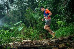 BIB: 
                            <button type="button" onclick="openModal(26482579)" class="btn btn-primary btn-sm float-right btn-popup" data-toggle="modal" data-target=".modal-high-quality">
                        <i class="fas fa-shopping-cart"></i> Add to Cart
                    </button>
                                            <button type="button" onclick="isThisMe(26482579, true)" class="btn btn-success btn-sm float-right btn-popup btn-isme hidden" data-toggle="tooltip" data-placement="bottom" title="นี่คือรูปของคุณใช่ไหม คลิกที่นี่เพื่อเอาเข้าอัลบั้ม">
                        <i class="fas fa-plus"></i> Add to album
                    </button>
                    <button type="button" onclick="isThisMe(26482579, false)" class="btn btn-warning btn-sm float-right btn-popup btn-isnotme hidden">
                        <i class="fas fa-ban"></i> Remove from album
                    </button>