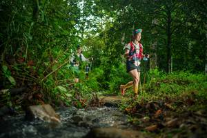 BIB: 
                            <button type="button" onclick="openModal(26475284)" class="btn btn-primary btn-sm float-right btn-popup" data-toggle="modal" data-target=".modal-high-quality">
                        <i class="fas fa-shopping-cart"></i> Add to Cart
                    </button>
                                            <button type="button" onclick="isThisMe(26475284, true)" class="btn btn-success btn-sm float-right btn-popup btn-isme hidden" data-toggle="tooltip" data-placement="bottom" title="นี่คือรูปของคุณใช่ไหม คลิกที่นี่เพื่อเอาเข้าอัลบั้ม">
                        <i class="fas fa-plus"></i> Add to album
                    </button>
                    <button type="button" onclick="isThisMe(26475284, false)" class="btn btn-warning btn-sm float-right btn-popup btn-isnotme hidden">
                        <i class="fas fa-ban"></i> Remove from album
                    </button>