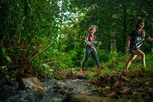 BIB: 
                            <button type="button" onclick="openModal(26475194)" class="btn btn-primary btn-sm float-right btn-popup" data-toggle="modal" data-target=".modal-high-quality">
                        <i class="fas fa-shopping-cart"></i> Add to Cart
                    </button>
                                            <button type="button" onclick="isThisMe(26475194, true)" class="btn btn-success btn-sm float-right btn-popup btn-isme hidden" data-toggle="tooltip" data-placement="bottom" title="นี่คือรูปของคุณใช่ไหม คลิกที่นี่เพื่อเอาเข้าอัลบั้ม">
                        <i class="fas fa-plus"></i> Add to album
                    </button>
                    <button type="button" onclick="isThisMe(26475194, false)" class="btn btn-warning btn-sm float-right btn-popup btn-isnotme hidden">
                        <i class="fas fa-ban"></i> Remove from album
                    </button>