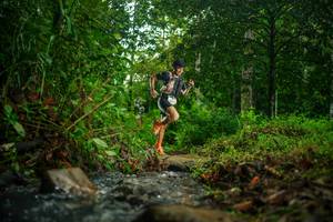 BIB: 
                            <button type="button" onclick="openModal(26475447)" class="btn btn-primary btn-sm float-right btn-popup" data-toggle="modal" data-target=".modal-high-quality">
                        <i class="fas fa-shopping-cart"></i> Add to Cart
                    </button>
                                            <button type="button" onclick="isThisMe(26475447, true)" class="btn btn-success btn-sm float-right btn-popup btn-isme hidden" data-toggle="tooltip" data-placement="bottom" title="นี่คือรูปของคุณใช่ไหม คลิกที่นี่เพื่อเอาเข้าอัลบั้ม">
                        <i class="fas fa-plus"></i> Add to album
                    </button>
                    <button type="button" onclick="isThisMe(26475447, false)" class="btn btn-warning btn-sm float-right btn-popup btn-isnotme hidden">
                        <i class="fas fa-ban"></i> Remove from album
                    </button>