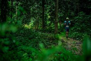 BIB: 
                            <button type="button" onclick="openModal(26483176)" class="btn btn-primary btn-sm float-right btn-popup" data-toggle="modal" data-target=".modal-high-quality">
                        <i class="fas fa-shopping-cart"></i> Add to Cart
                    </button>
                                            <button type="button" onclick="isThisMe(26483176, true)" class="btn btn-success btn-sm float-right btn-popup btn-isme hidden" data-toggle="tooltip" data-placement="bottom" title="นี่คือรูปของคุณใช่ไหม คลิกที่นี่เพื่อเอาเข้าอัลบั้ม">
                        <i class="fas fa-plus"></i> Add to album
                    </button>
                    <button type="button" onclick="isThisMe(26483176, false)" class="btn btn-warning btn-sm float-right btn-popup btn-isnotme hidden">
                        <i class="fas fa-ban"></i> Remove from album
                    </button>