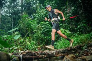 BIB: 
                            <button type="button" onclick="openModal(26483971)" class="btn btn-primary btn-sm float-right btn-popup" data-toggle="modal" data-target=".modal-high-quality">
                        <i class="fas fa-shopping-cart"></i> Add to Cart
                    </button>
                                            <button type="button" onclick="isThisMe(26483971, true)" class="btn btn-success btn-sm float-right btn-popup btn-isme hidden" data-toggle="tooltip" data-placement="bottom" title="นี่คือรูปของคุณใช่ไหม คลิกที่นี่เพื่อเอาเข้าอัลบั้ม">
                        <i class="fas fa-plus"></i> Add to album
                    </button>
                    <button type="button" onclick="isThisMe(26483971, false)" class="btn btn-warning btn-sm float-right btn-popup btn-isnotme hidden">
                        <i class="fas fa-ban"></i> Remove from album
                    </button>